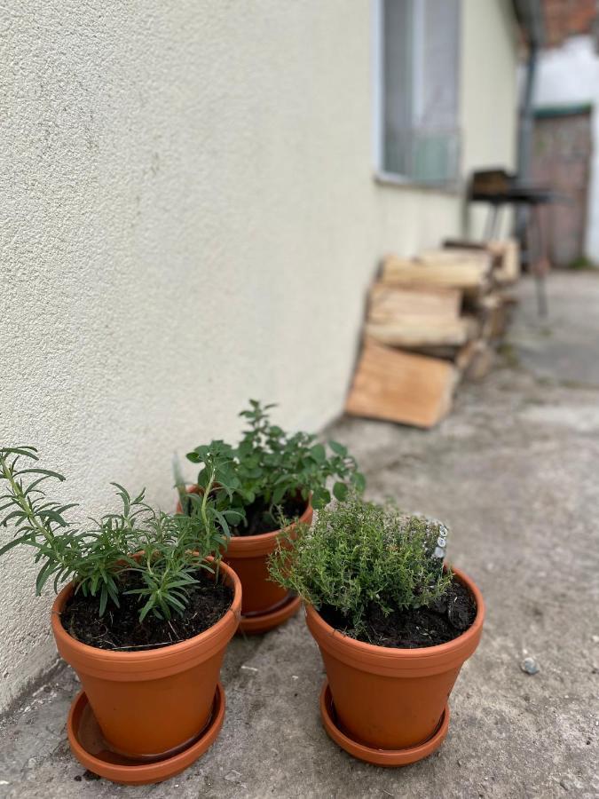 Wiejska Chatka Ujście-Darłowskie Kültér fotó